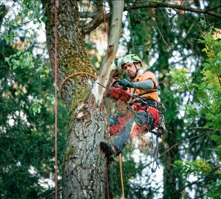 Mimo péče o stromy děláme… - čištění a nátěry střech, - čištění fasád, - umýváme špatně přístupná okna, - další výškové...